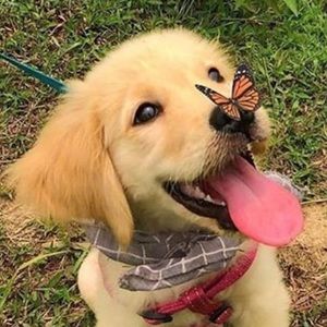 Meet your Posher, Olivia